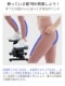 ĥȥƥåѡPremium SP-400 (30ݾ/5ǯݾھ)