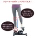 ƥåѡ SP-500 (5ǯݾھ)