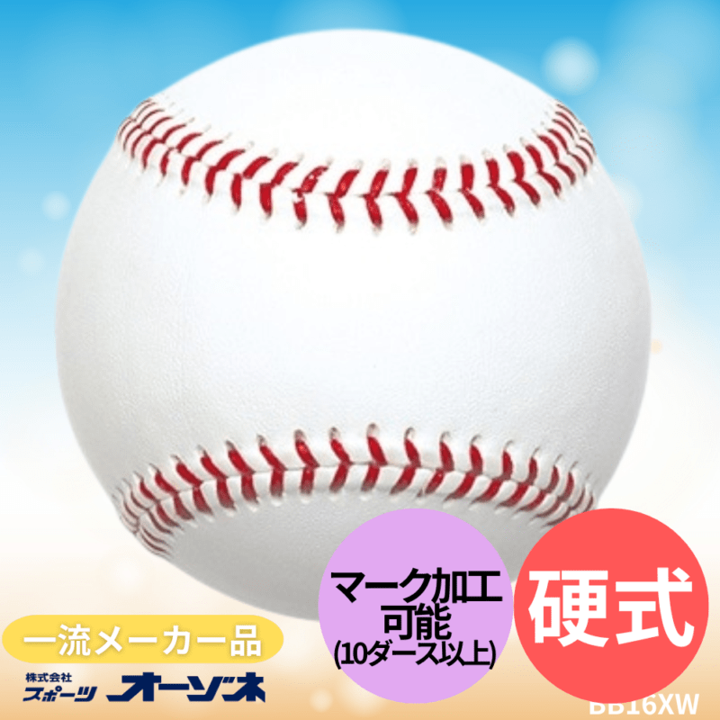 一流メーカー品 硬式練習球 （販売単位：1ダース）【ネーム加工可 ※10ダース以上】