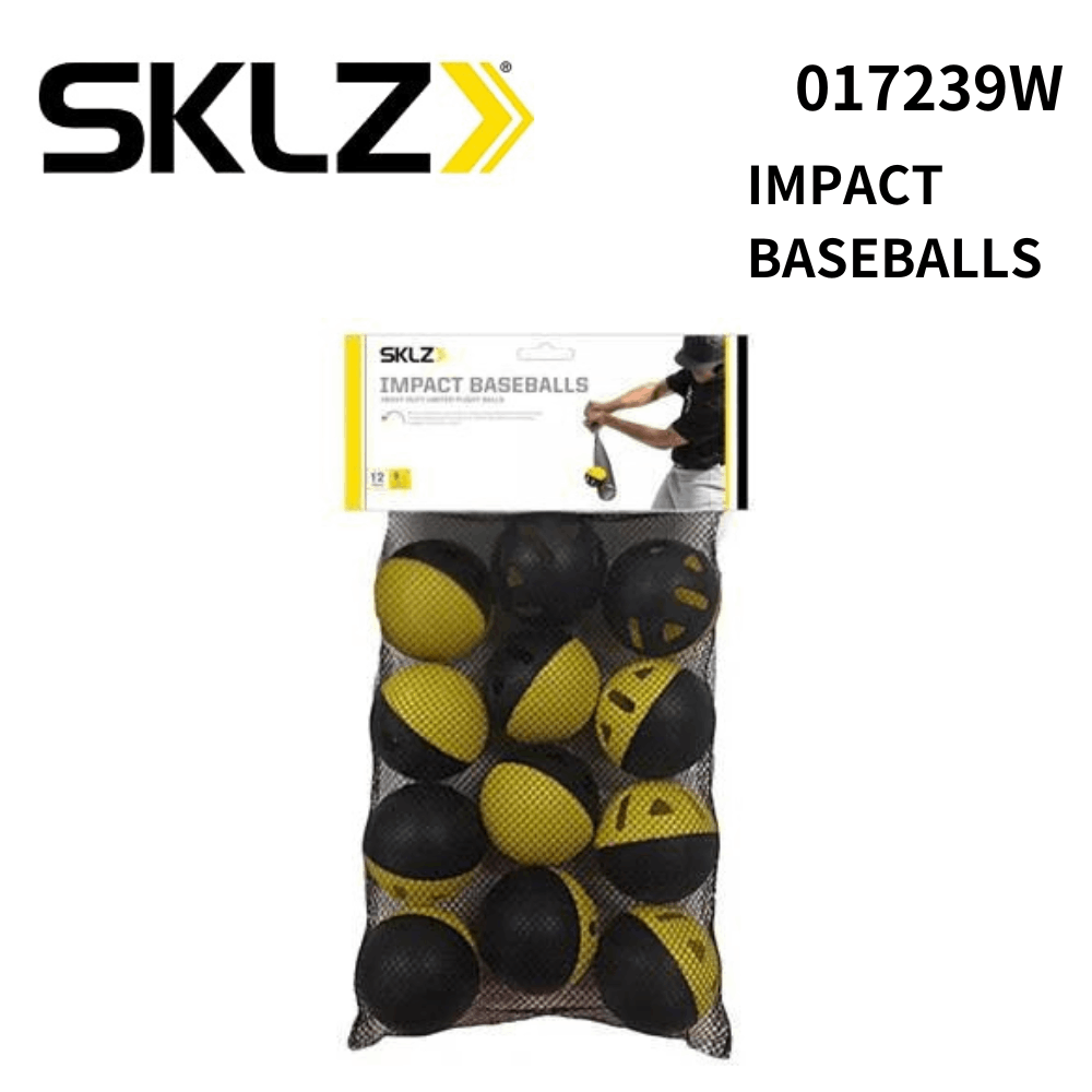 スキルズ キックアウト 2個セット RICH BIT 電動キックボード 特定小型原動機付自転車 RICHBIT ES2