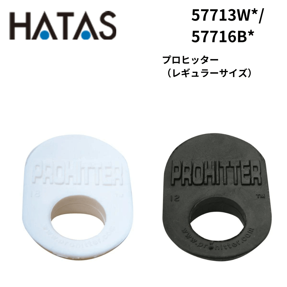 グリッター ゴールド シルバー 系 0.2mm 六角 約2g入り | BLAZE