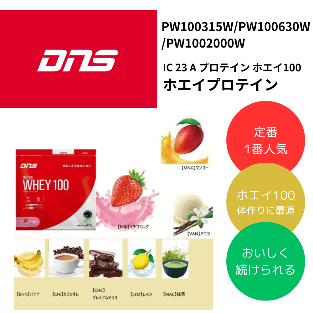 DNSプロテイン3kg チョコレート風味