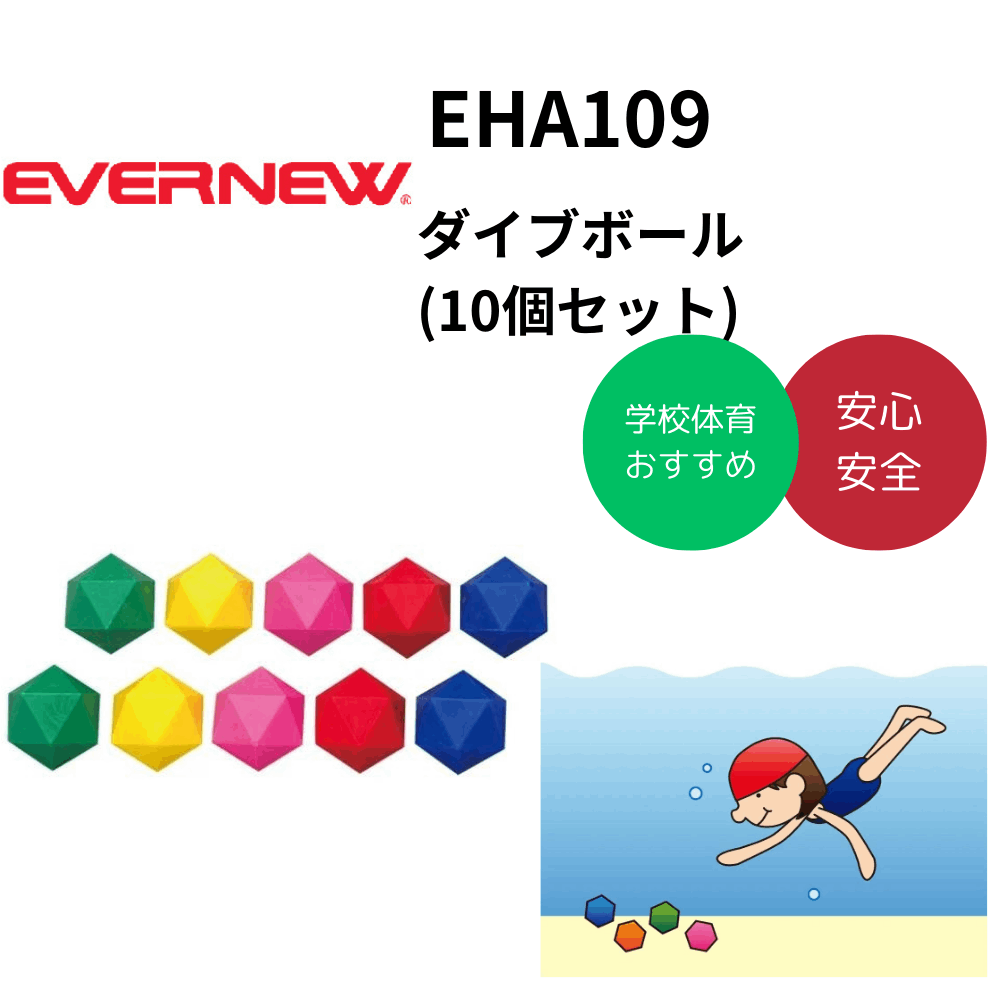 EVERNEW エバーニュー テニスネット 全天候型 標準サイズ 黒