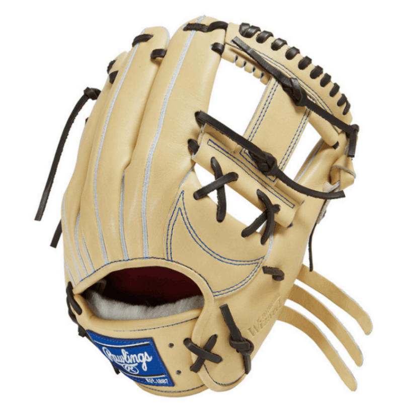 Rawlings ローリングス [本店展示商品] 【GOLD GLOVE】 硬式 PRO