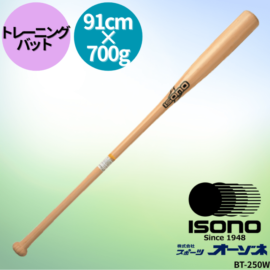 イソノ トレーニンググラブ イソノ 軟式グローブ ISONO イソノ 軟式 内