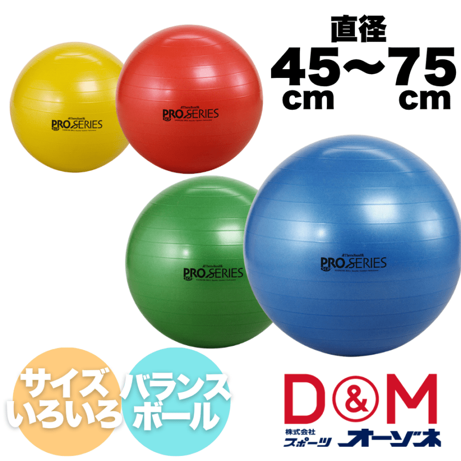 D&M ディーアンドエム エクササイズボール バランスボール ｢プロシリーズ｣ （直径：45～75cm ／カラー：サイズによって異なります）