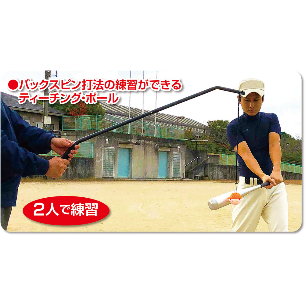 一流メーカー品 ティーチング・ポール ボール 1球付 （バッティング