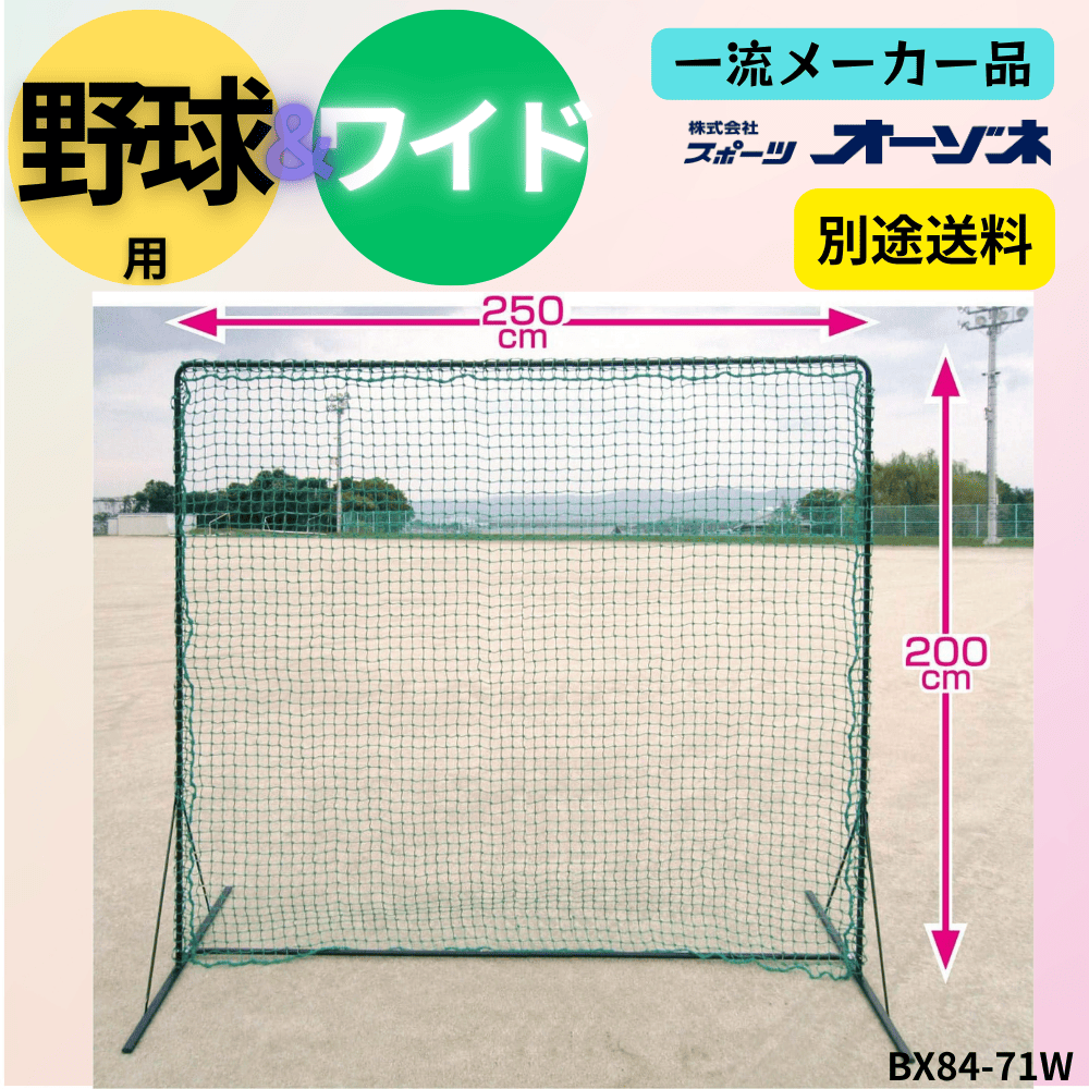一流メーカー品 Pertiton-Net 野球用 ワイド防球ネット （幅：250×200 cm ） ※別途送料