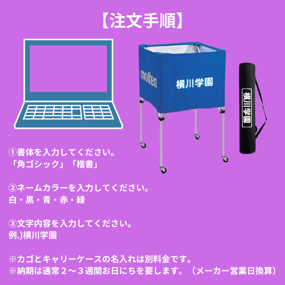 molten モルテン 折りたたみ式平型ボールカゴ 背低