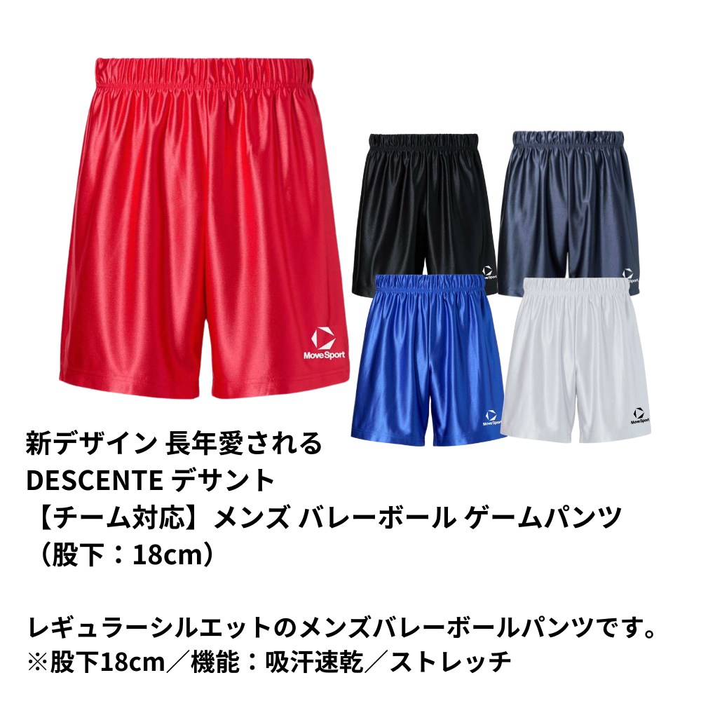 MoveSport ムーブスポーツ ＜チーム対応＞ メンズ バレーボール ゲーム