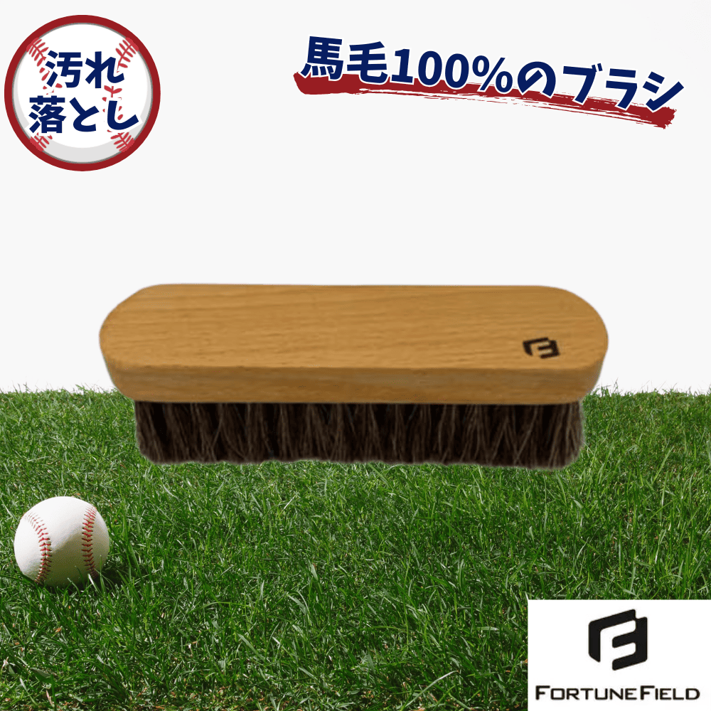 専用　貴重　90's FERNANDESBurny プラスアルファおまけ付き FORTUNE FIELD フォーチュンフィールド ホースブラシ | すべての商品