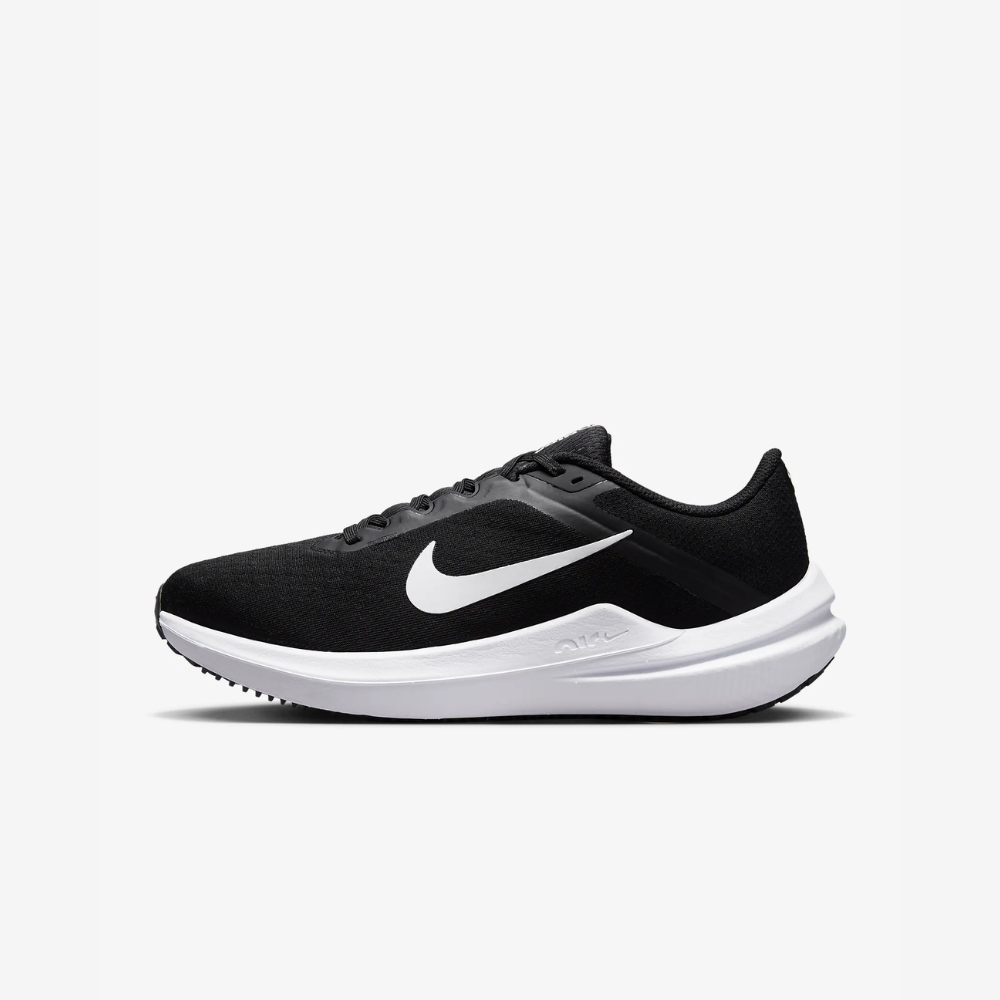 NIKE ナイキ ウィメンズ WSエアウィンフロー10（カラー：【003