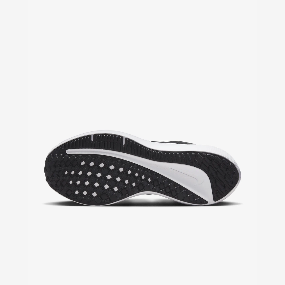 NIKE ナイキ ウィメンズ WSエアウィンフロー10（カラー：【003