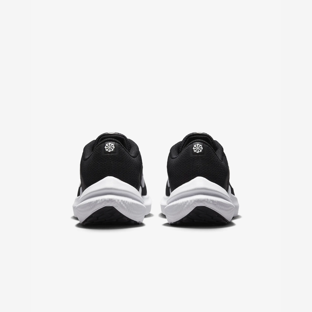 NIKE ナイキ ウィメンズ WSエアウィンフロー10（カラー：【003