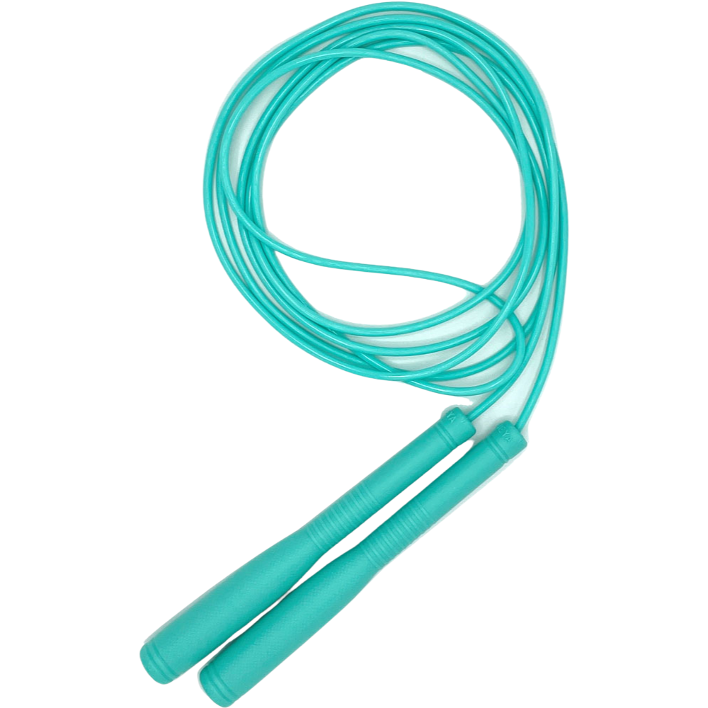 ZETT ゼット 縄跳び ジャンプロープ 学校体育 トレーニング