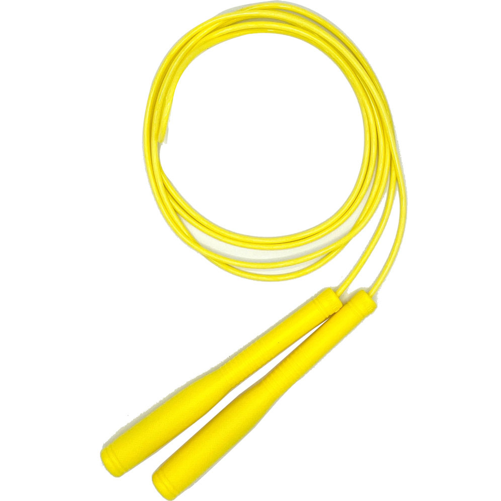 ZETT ゼット 縄跳び ジャンプロープ 学校体育 トレーニング