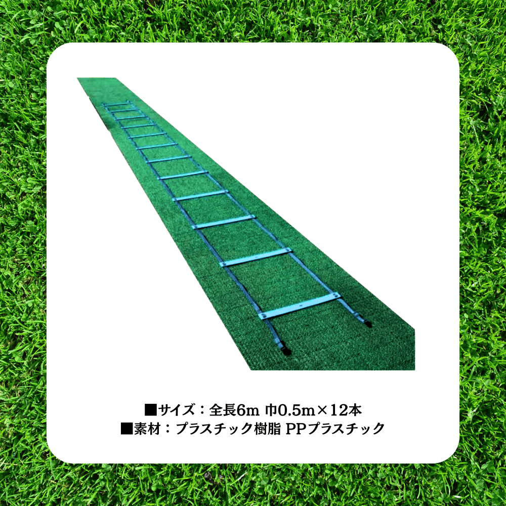 一流メーカー品 トレーニング ラダー 連結タイプ 【サイズ：0.5m×12本】（収納袋付）