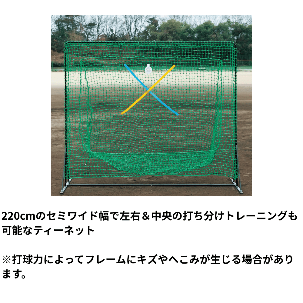 一流メーカー品 セミワイドネット ミスターティーネット ※別途送料