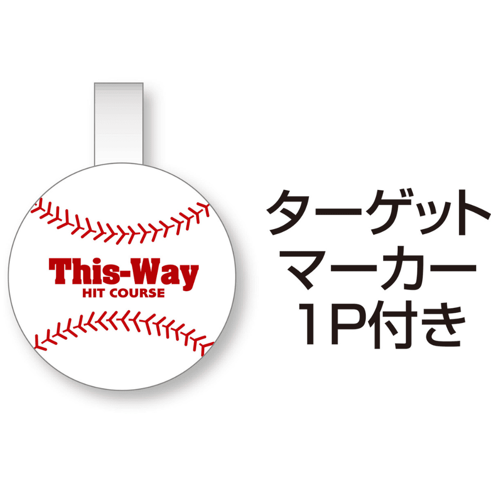 一流メーカー品 セミワイドネット ミスターティーネット ※別途送料