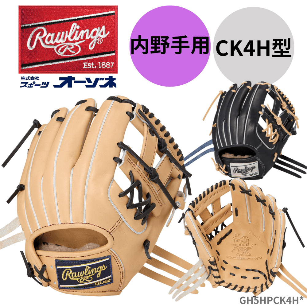 Rawlings ローリングス 【GOLD GLOVE】 HOH PREMIUM 硬式 グローブ 内