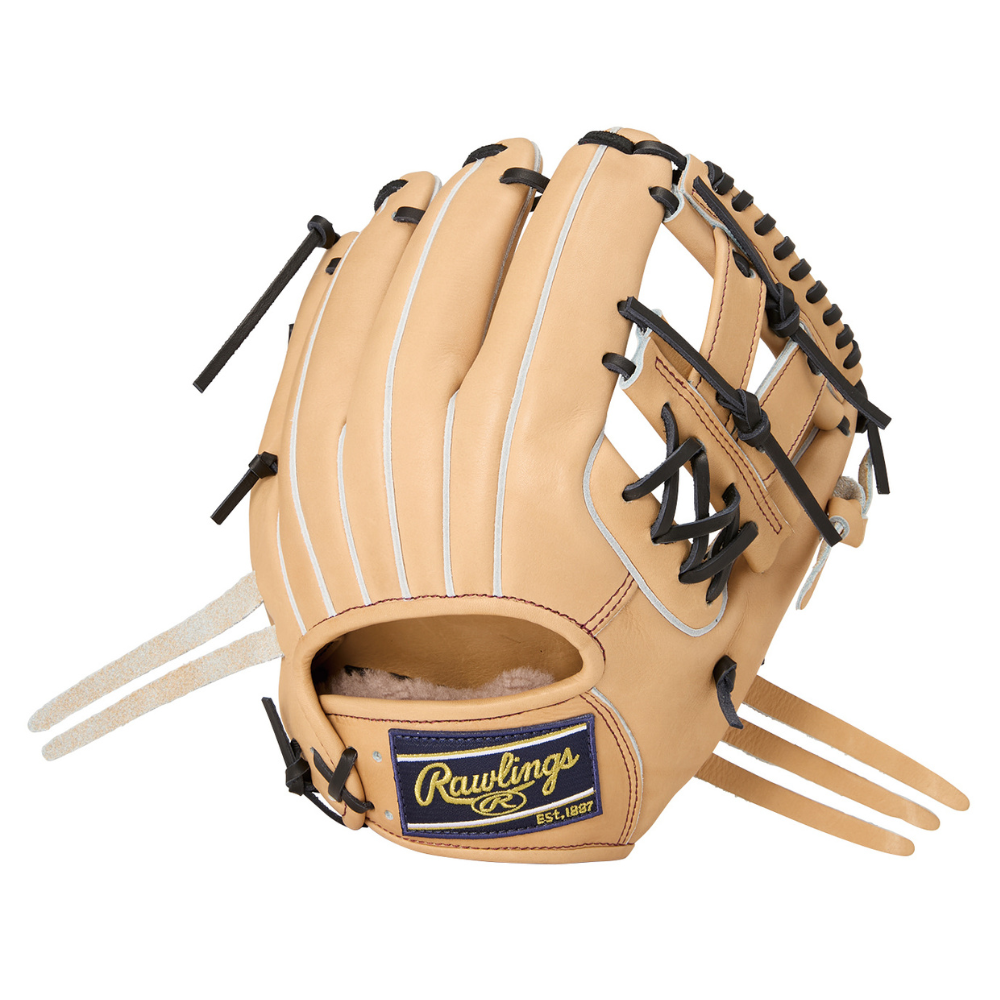 Rawlings ローリングス 【GOLD GLOVE】 HOH PREMIUM 硬式 グローブ 内