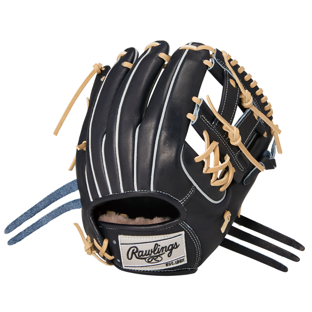 Rawlings ローリングス 【GOLD GLOVE】 HOH PREMIUM 硬式 グローブ 内
