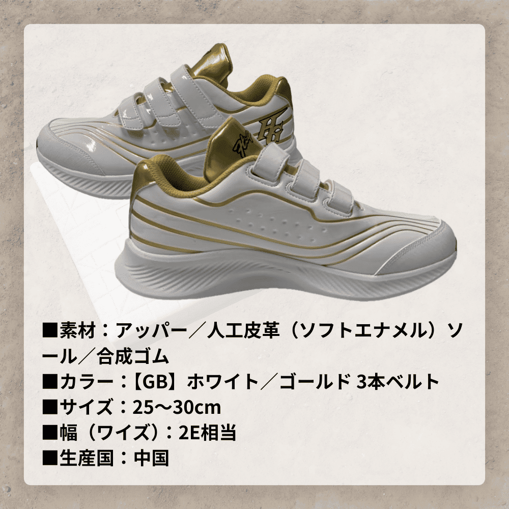 ハイゴールド トレーニングシューズ HI-GOLD ハイゴールド トレーニングシューズ 3本ベルト式 軽量設計（幅