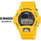��G-SHOCK�� DW-6900TR-9JR ��CASIO�� ������ ��������å� �ӻ��� ����������