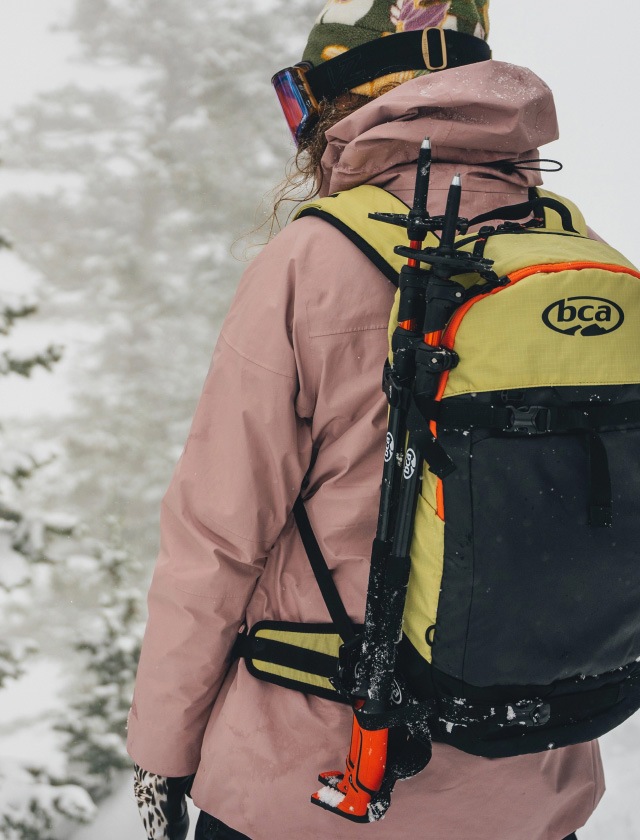 bcaڥӡ  Scepter 3S Pole ݡ Хåȥ꡼  Ρܡ