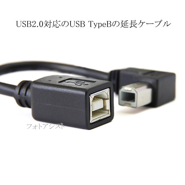 USB2.0 TypeB����(L����)-TypeB�᥹  ��Ĺ�����֥뱦���������ס�0.15��(15cm)  ����̵���ڥ᡼���ؤξ���
