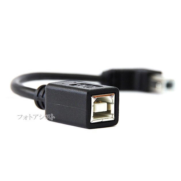 USB2.0 TypeB����(L����)-TypeB�᥹  ��Ĺ�����֥뱦���������ס�0.15��(15cm)  ����̵���ڥ᡼���ؤξ���