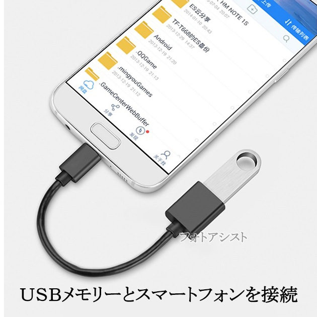 CASIO/�������б� �ޥ�����USB - USB�����ץ� OTG�����֥� USB A�Ѵ������֥� ����-�᥹  USB 2.0������̵���ڥ᡼���ؤξ���