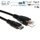 KORG/���륰�б�  USB2.0�����֥� C-B������ 3.0m  Part.1���Żҥԥ�����³�ʤɤ� ����̵���ڥ᡼���ؤξ���