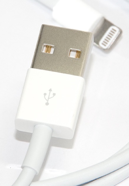ڥåץʡApple Lightning - USB֥ (1.0m) iPhon(ե)ť֥롡MD818ZM/A¹͢ʡ̵ڥ᡼ؤξ