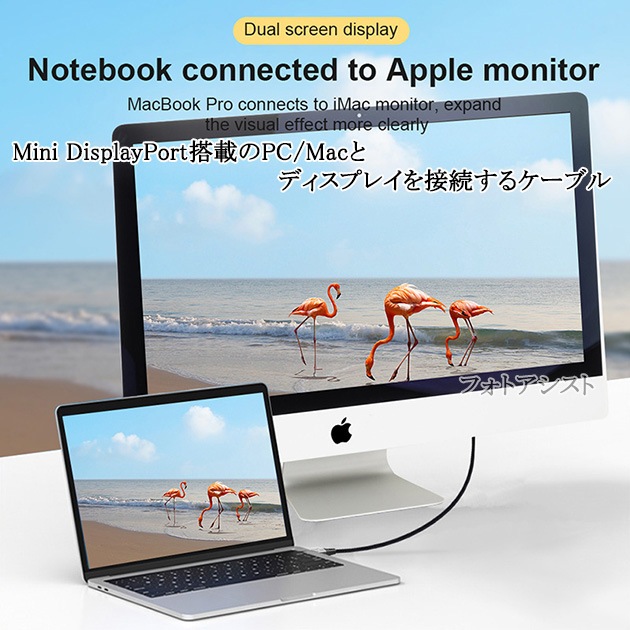 Mini DisplayPort֥  2.0  С1.4  8K60Hz/4K144Hz/1080p240Hz/HDCPб̵ڥ᡼ؤξ