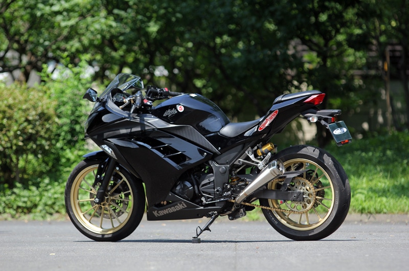 '13 Ninja250 (JBK-EX250L)PURE SPORT TYPE TWO TAIL HP߸˴䡦佪λ