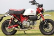 21~23Monkey125(8BJ-JB03)PURESPORT ショート