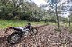 2023~CRF250L (8BK-MD47) POWERBOX パイプ SANPO