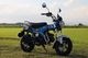 23~Dax125(8BJ-JB04 / 8BJ-JB06) PURESPORT カーボン