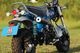 23~Dax125(8BJ-JB04 / 8BJ-JB06) PURESPORT カーボン