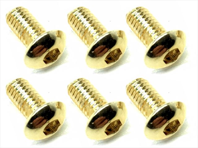 3��6 ���ƥ�쥹�إå����ܥ���ӥ�(6����) 24K������ɥ�å� 3��6 Stainless steel hex Pan Head Screw (6 pcs.) 24K gold plating