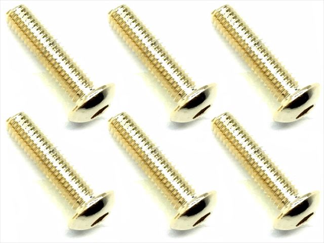 312 ƥ쥹إåܥӥ(6) 24Kɥå 312 Stainless steel hex Pan Head Screw (6 pcs.) 24K gold plating