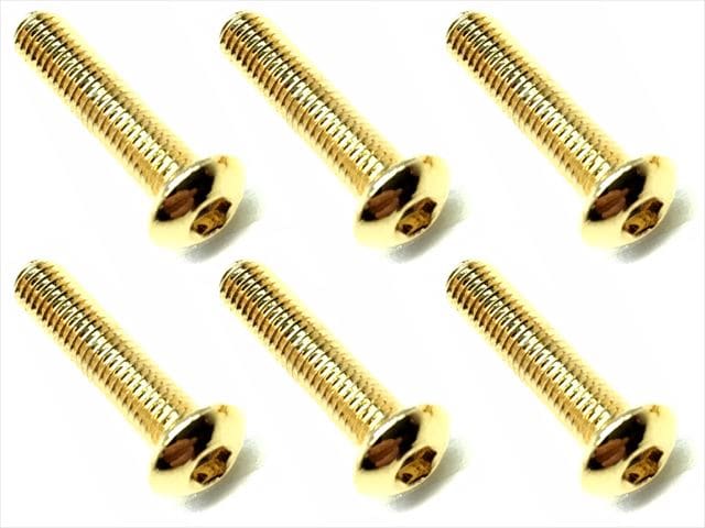 3��14 ���ƥ�쥹�إå����ܥ���ӥ�(6����) 24K������ɥ�å� 3��14 Stainless steel hex Pan Head Screw (6 pcs.) 24K gold plating