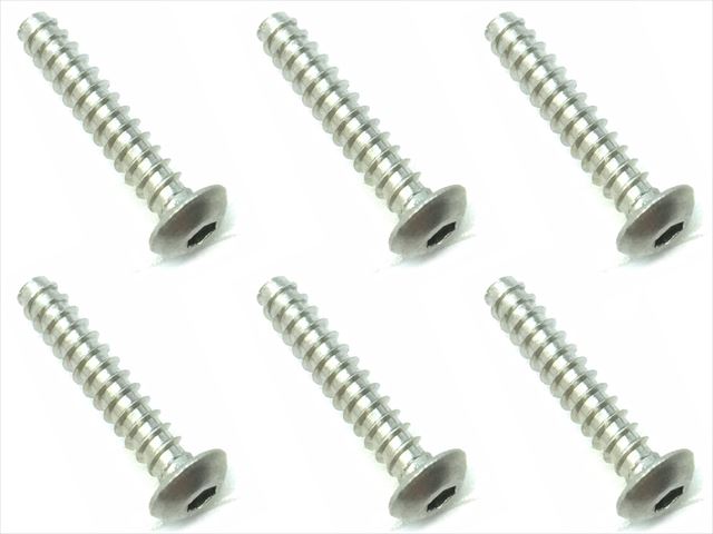3��16 ������إå����ʥ٥��åԥ󥰥ӥ� 6���� 3��16 Titanium hex button tapping screw (6 pcs.)