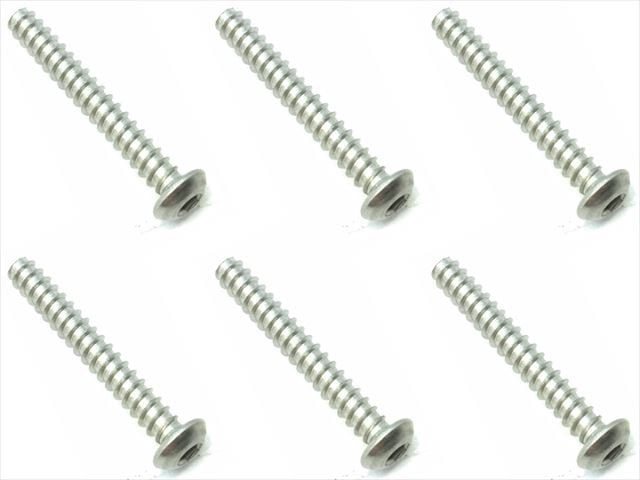 3X22 ������إå����ܥ��󥿥åԥ󥰥ӥ� 6���� 3X22 Titanium hex button tapping screw (6 pcs.)