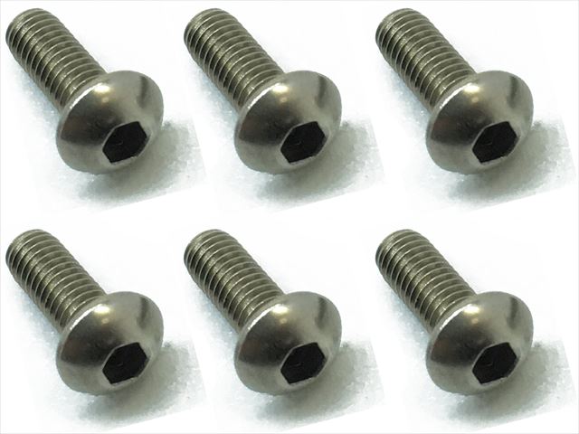������إå����ʥ٥ӥ� 6���� 3��8 Titanium hex Pan Head Screw 3��8 (6 pcs.)