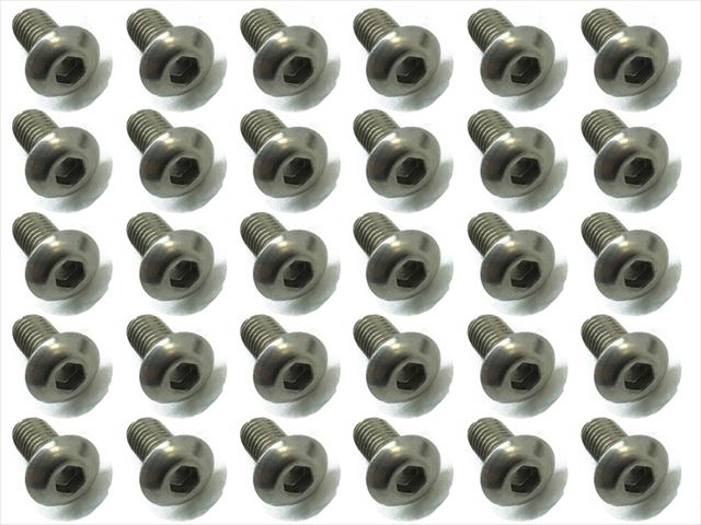 チタンヘックスナベビス 30本入 3X6 Titanium hex Pan Head Screw 3X6