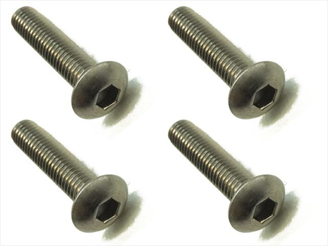 4x20�إå����ܥ���ӥ� 4���� 4x20 Titanium hex Pan Head Screw (4 pcs.)
