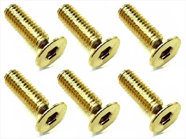 3��10 ���ƥ�쥹�إå������ӥ�(6����) 24K������ɥ�å� 3��10 Stainless steel hex Flat Head Screw (6 pcs.) 24K gold plating