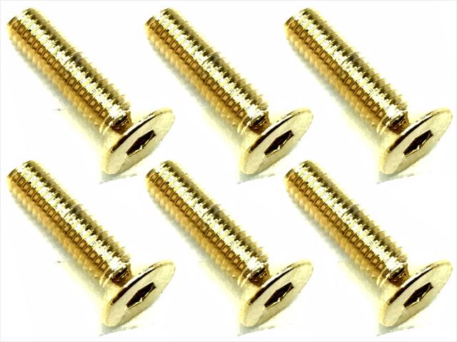 3��12 ���ƥ�쥹�إå������ӥ�(6����) 24K������ɥ�å� 3��12 Stainless steel hex Flat Head Screw (6 pcs.) 24K gold plating